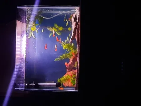 جمجمه تزیینی آکواریوم کد MS