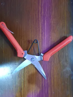 قیچی میوه چین کورال مدل G 1609