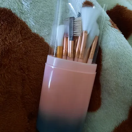 ست برس آرایشی مدل 01 بسته 12 عددی