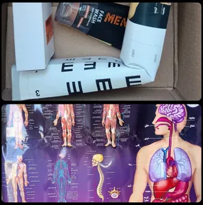 تجریه خرید پوستر آموزشی اندیشه کهن طرح آناتومی بدن انسان کد 301