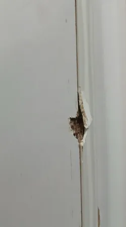 میزتلوزیون دیواری مدل WB005