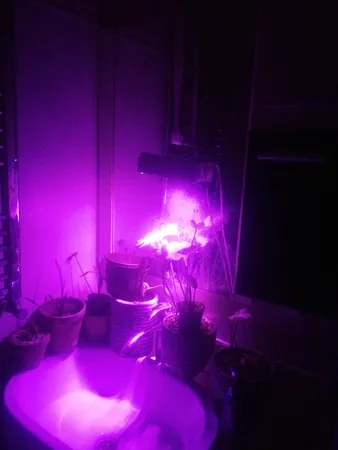 وال واشر ال ای دی رشد گیاه 6 وات مدل LP1001-6W