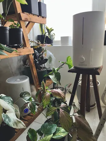 دستگاه بخور سرد درما مدل Humidifier F628s