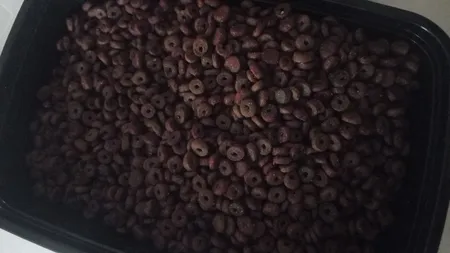 غذای خشک گربه مفید مدل Chiken&Beef وزن 500 گرم