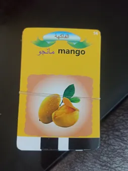 بازی آموزشی انگلیسی مدل فلش کارت گویا Card carly education device