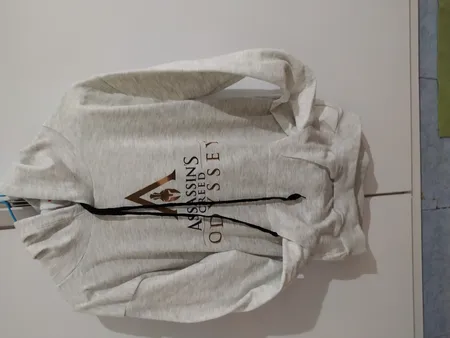 هودی مردانه طرح Assassins کد S436 رنگ طوسی