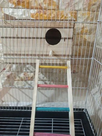 لانه پرنده مدل عروس هلندی درب کشویی طرح چوبی