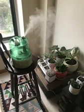 تجریه خرید دستگاه بخور سرد مدل Family Care