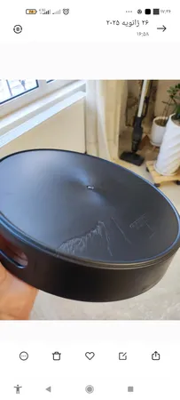 سینی مدل leaves