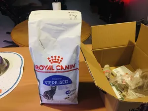 تجریه خرید غذای خشک گربه رویال کنین مدل sterilised وزن 2 کیلوگرم