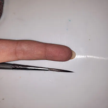 قلم مو گرد ره آورد سری 1383 شماره 0