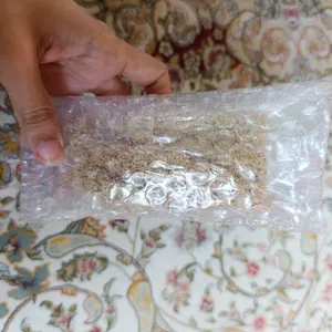 تجریه خرید غذای پرنده مدل ارزن خوشه ای کد 20104 بسته 5 عددی