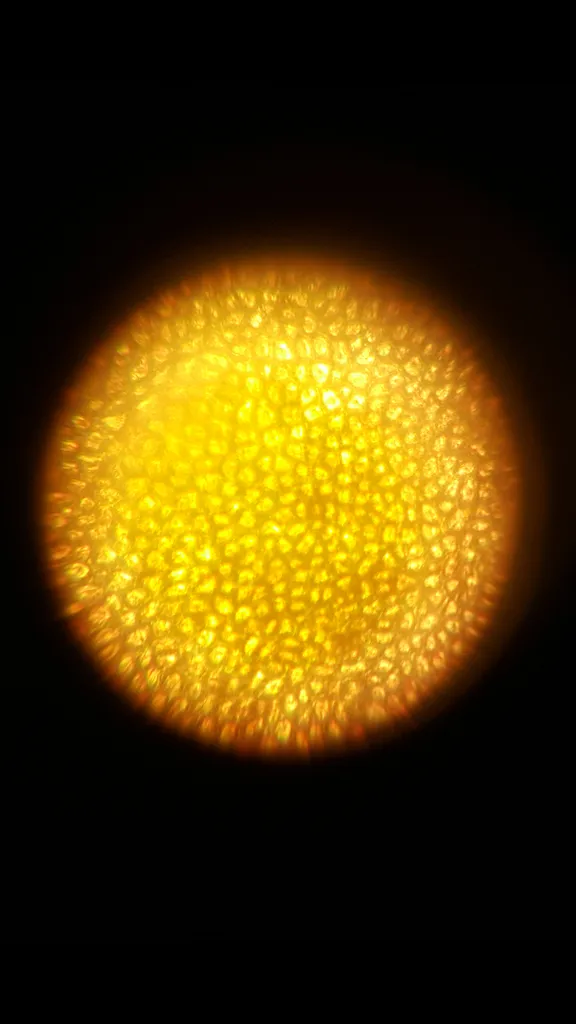 میکروسکوپ مدیک مدل MH-1200L