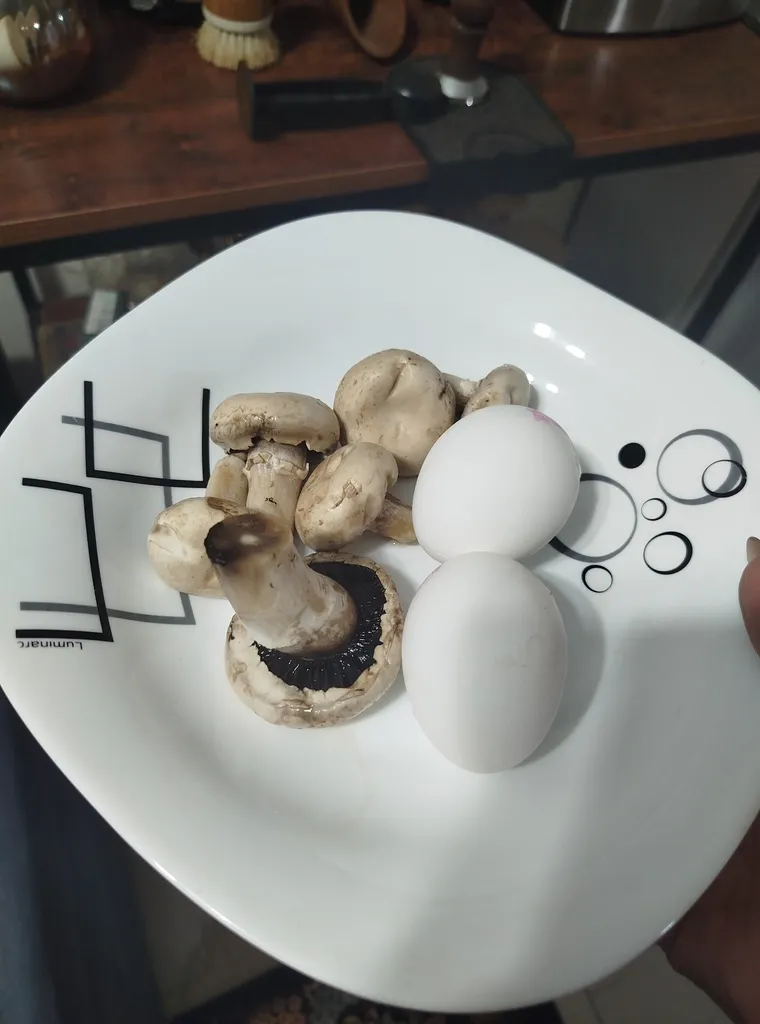 ظرف غذای برقی مدل LB-200W