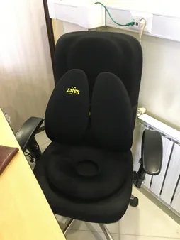 پشتی طبی زیفن مدل Back