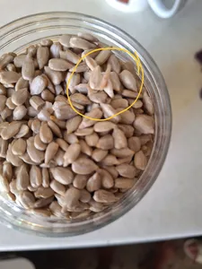 تجریه خرید مغز تخمه آفتابگردان خام ممتاز سرمد - 450 گرم بسته 2 عددی