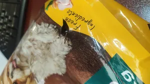 تجریه خرید غذای خشک سگ نوتری پت مدل Small Breeds وزن 2 کیلوگرم