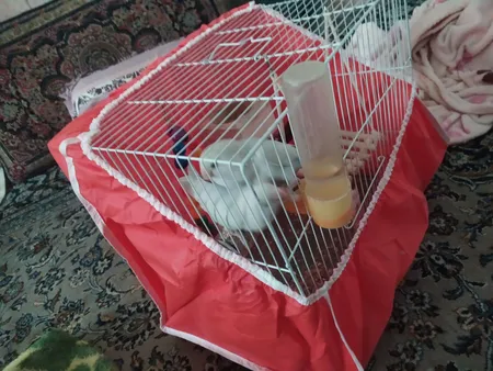 کاور قفس حیوانات کد 1030