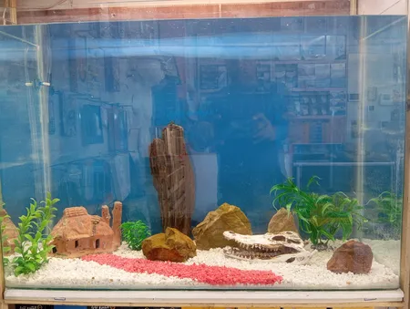 جمجمه تزیینی آکواریوم کد MS