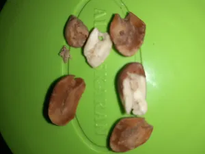 تجریه خرید بادام زمینی ریز دوآتشه فله مقدار 1000 گرم