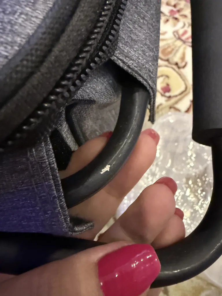 سبد پیک نیک دبلیو اس مدل Oltra