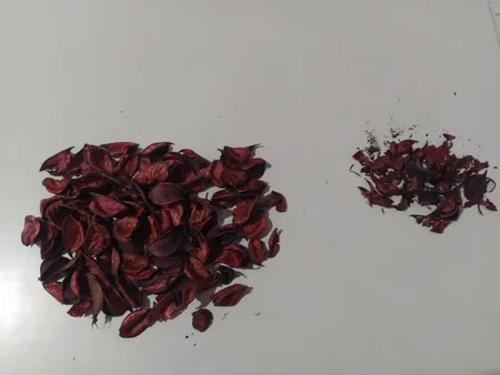 گل خشک کد ros1