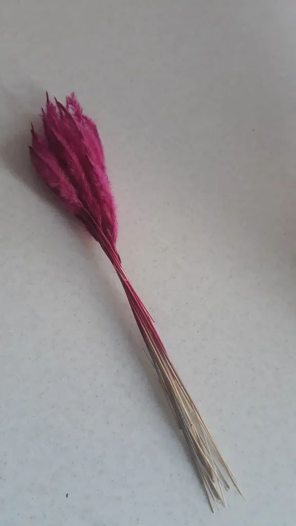 گل خشک مدل دم روباهی 10_4