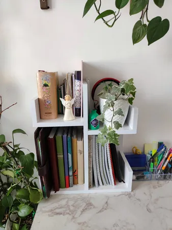 کتابخانه رومیزی مدل کاکتوس