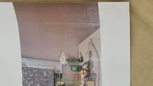 تجریه خرید پرینتر لیزری رنگی اچ پی مدل Color Laser 150nw