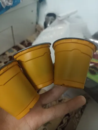 گلدان ژله ای کد 6-20 مجموعه 20 عددی