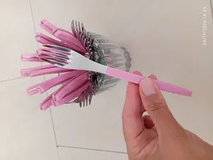 تجریه خرید ست کارد و چنگال میوه خوری 12 پارچه سی اند اس مدل منحنی