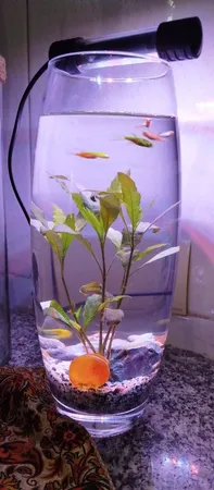 لامپ ال ای دی آکواریوم مدل B-10c