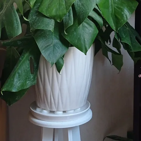 درب بطری یکبار مصرف کد 2010 بسته 10 عددی