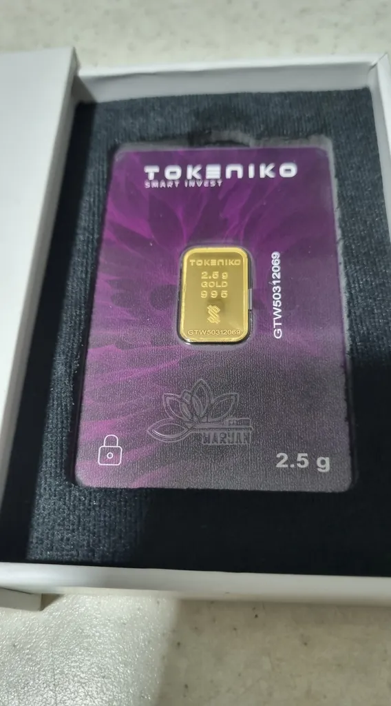 شمش طلا 24 عیار توکنیکو مدل GTW-2.5