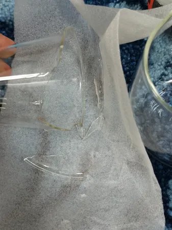 دمنوش ساز 300ml (با شعله مستقیم)مدل KINYU TEA FOR ONE TZ002