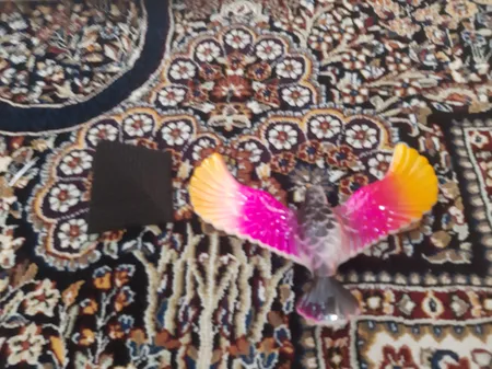 ابزار شوخی دنیای سرگرمی های کمیاب طرح عقاب مدل DSK835