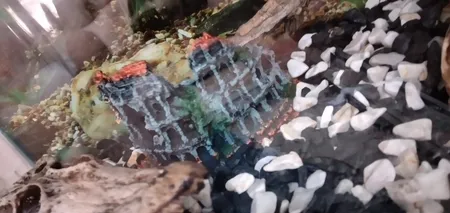 قلعه تزیینی آکواریوم کد RW178