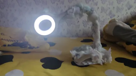 چراغ مطالعه لمسی گیره ای قابل شارژ ویداسی مدل WD-6038