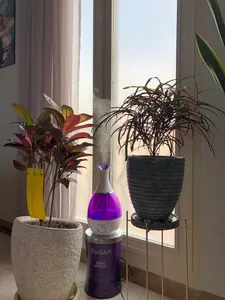 تجریه خرید دستگاه بخور سرد مدل Ultrasonic