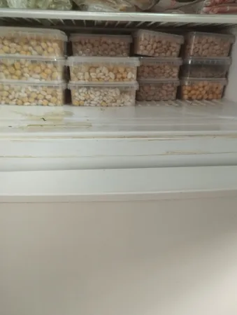 ظرف نگهدارنده پولاد پویش مدل فریزری و مایکروویوی کد 400cc بسته 20 عددی