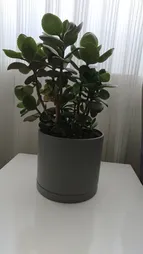 گلدان طرح استوانه مدل مهرنی 17.5-103