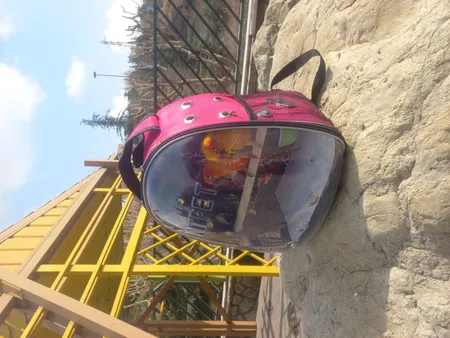 کوله پشتی حمل پرندگان مدل Z001