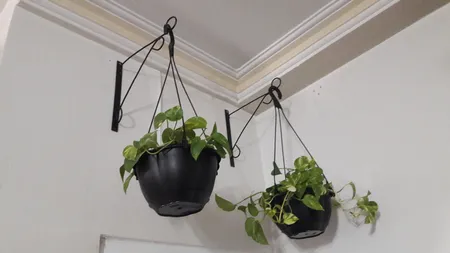 گلدان گل آذین مدل پلاستیکی آویز کد 320