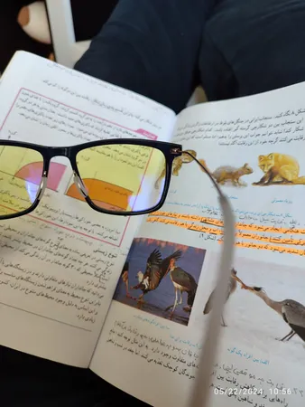 عینک محافظ چشم میجیا مدل HMJ02TS