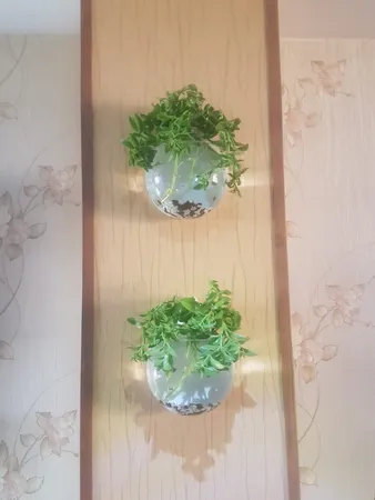 گلدان دکوری مدل دیواری شیشه ای مجموعه 2 عددی