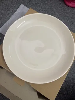 بشقاب غذاخوری مدل دیانا NB24