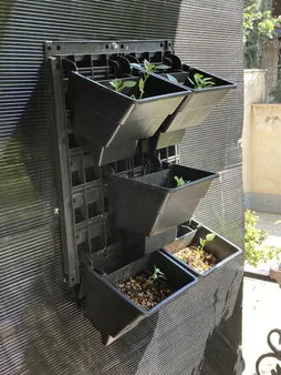 گلدان دیواری طرح دیوار سبز مدل Lotus بسته 6 عددی