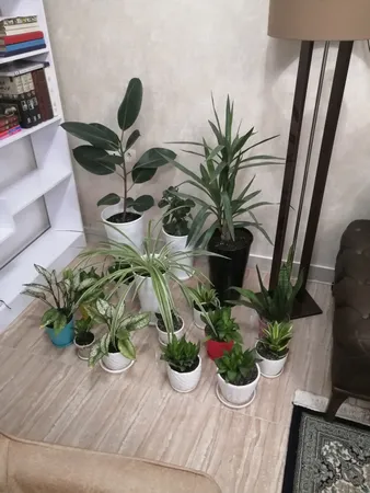 گلدان مدل استوانه ای کلاسیک کد 25