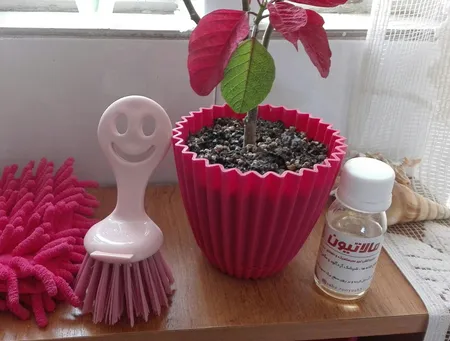 حشره کش و آفت کش مالاتیون سبز رویش اصفهان کد A30 حجم ۶۰ میلی لیتر