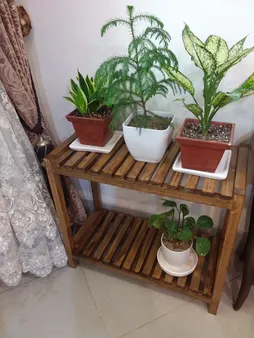 استند گلدان مدل 65